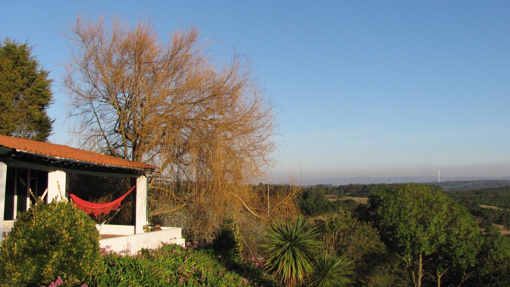 Casa Dos Mangues Guest House São Martinho do Porto Exterior photo